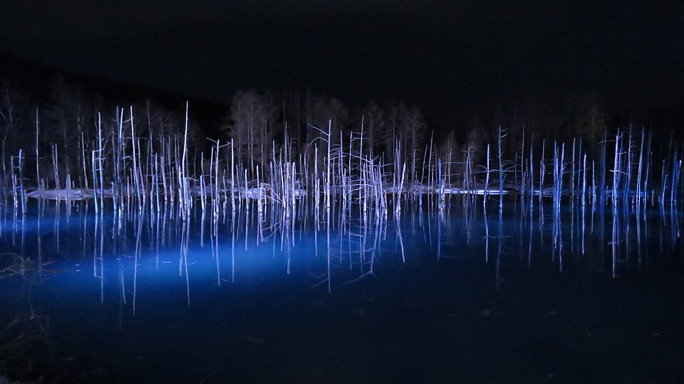 Shirogane Blue Pond by night, April 2023 06.jpg