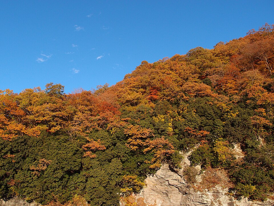 Nagatoro Iwadatami Rocks (11043413876).jpg